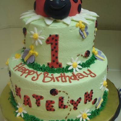 Ladybug