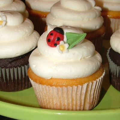 Ladybug Cupcakes
