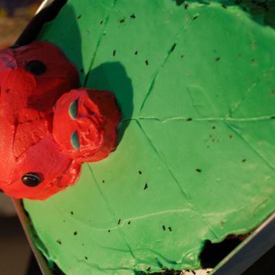 Ladybug On A Leaf...