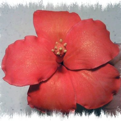First Gumpaste Hibiscus!