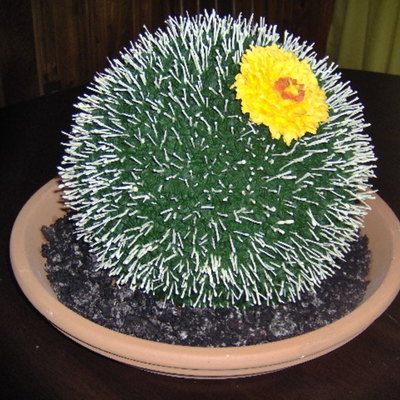 Cactus County Fair Entry