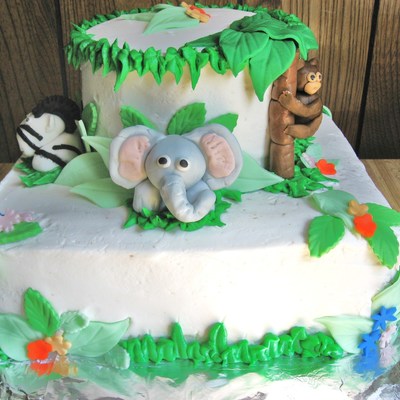 Ari's First Birthday