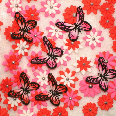 Gum Paste Butteflies And Flowers