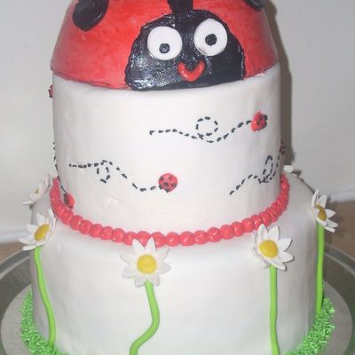 Ladybugs