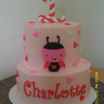 Valentine's 1St Birthday