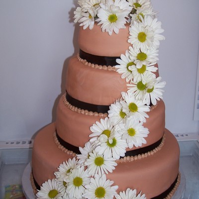 Brown Daisy Cake