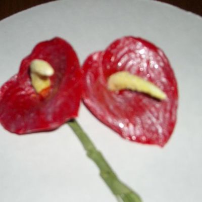 Red Anthurium