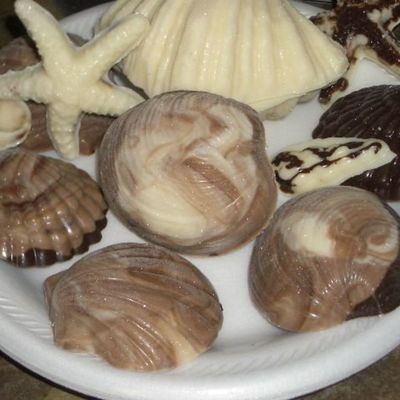 Chocolate Seashells