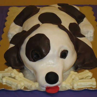 Dog Cake