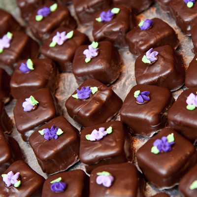Ganache Covered Minicakes