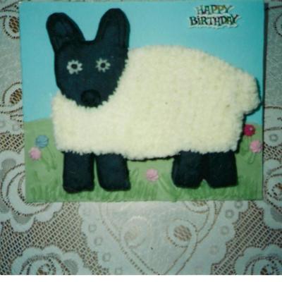 Little Lamb