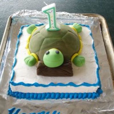 Caleb's Turtle Cake