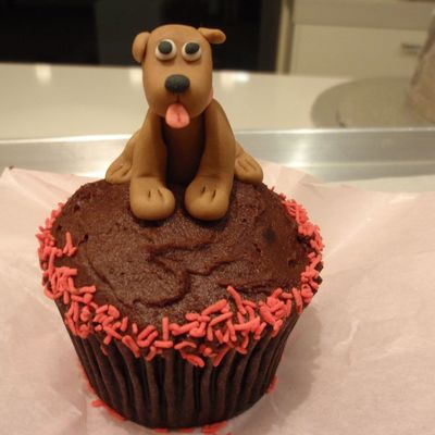 Puppy Cupcake