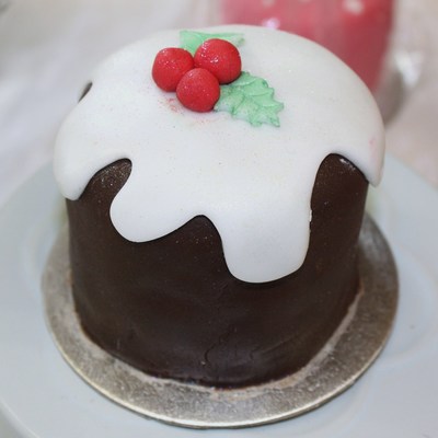 Mini Christmas Pudding Fruit Cake