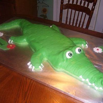 3 Foot Long Alligator