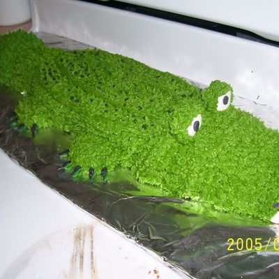 Alligator/ Crocodile, Another View