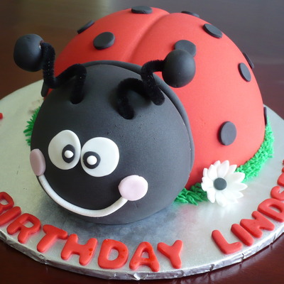 Ladybug Birthday Cake