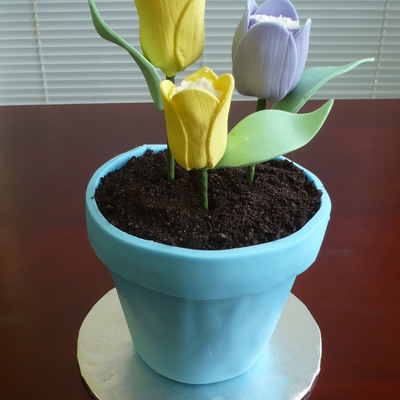 Flower Pot Cake With Tulips