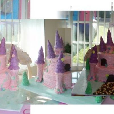 Lana's Princess Castle