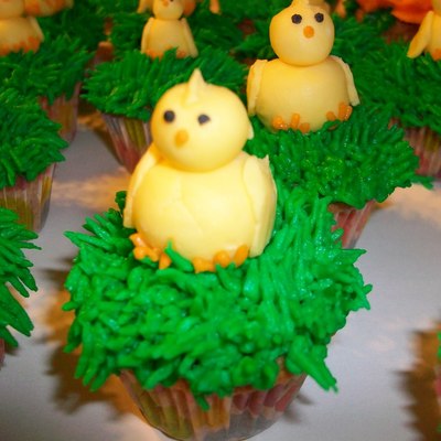 Mini Chick Cupcakes