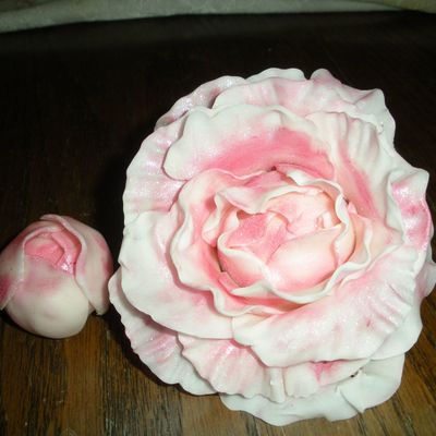 Gumpaste Peonies