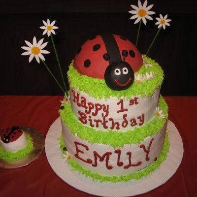 Ladybug First Birthday