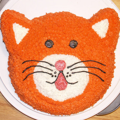 Orange Cat Cake