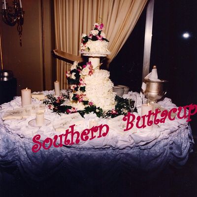 White Chocolate And Orchids