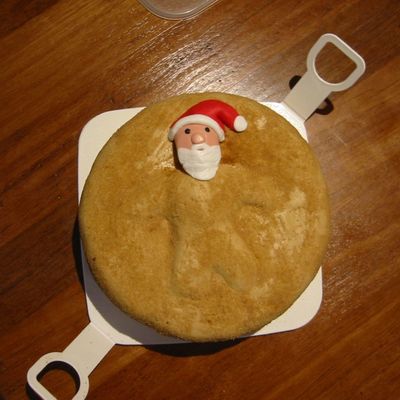 Australian Christmas Cake - Santa Buried In The Sand