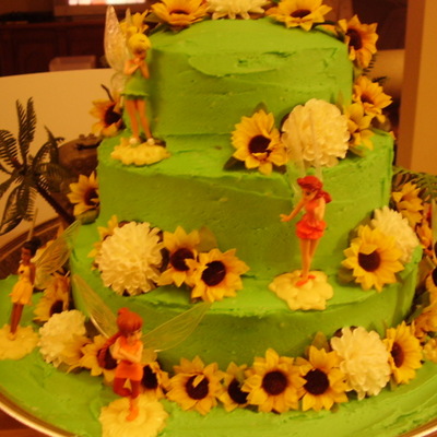 Tinkerbell Slash Pirate