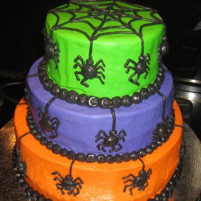 Creepy Crawly Spiders!