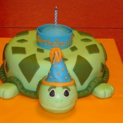 Turtle Cake