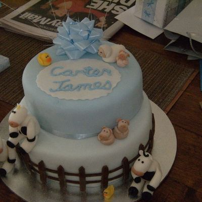 Farmyard Christening