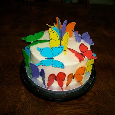 Brillant Butterfilies!