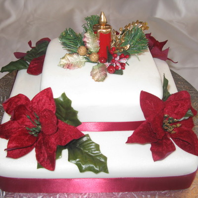 Poinsettias In Light