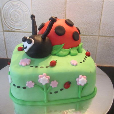 My Daughters Lady Bug Birthday Cake