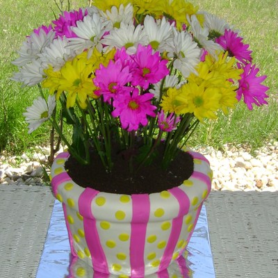 Flower Pot Cake W/ Live Flowers