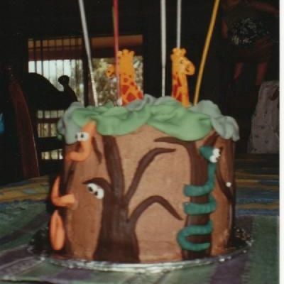 Jungle Cake