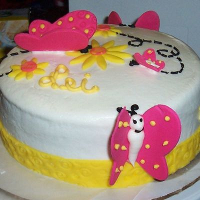 Butterfly Cake
