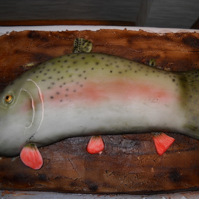Rainbow Trout Cake