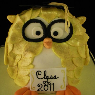Owl Graduation Cake