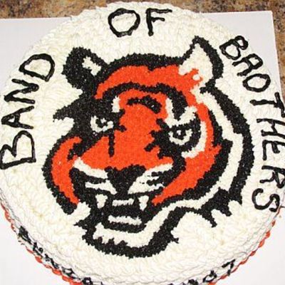 Band Of Brothers Bengal Cake For My Twins' Football Team