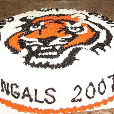 Band Of Brothers Bengal Cake For My Twins' Football Team 2