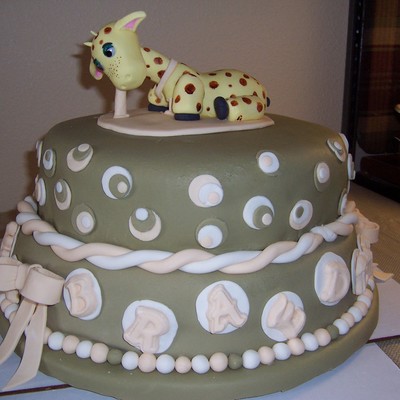 Braeden's Baby Shower