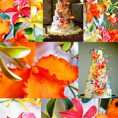 Springtime Orchids