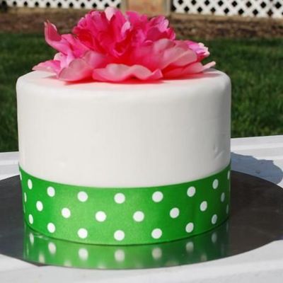 It's Finally Spring!