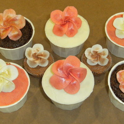 Plumeria Cupcakes