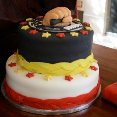 Martial Arts Cake