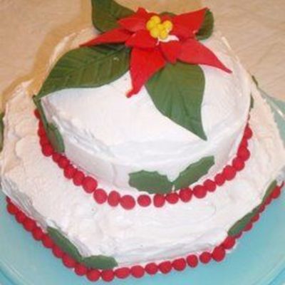 A Very Merry Christmas Birthday