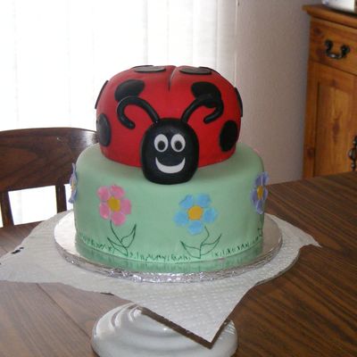 Lady Bug Cake
